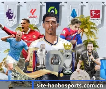 好博体育官网 APP - HaoboSports